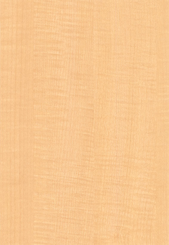 Léger Maple (S) W 320